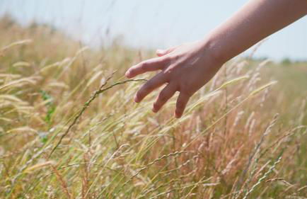 Chapter Farm Cottages - Foto 5