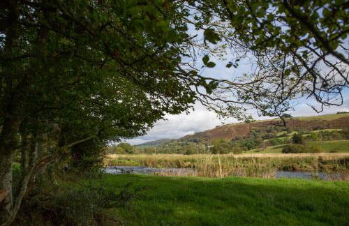 Felin Gogoyan - Photo 30