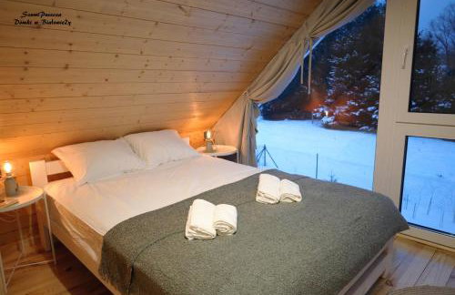 SzumiPuszcza - domki z sauną lub balią - Foto 30