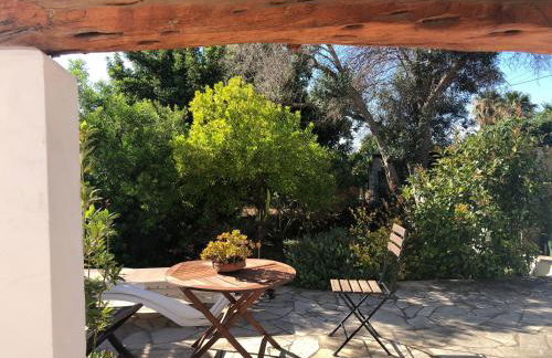 Can Ballet - Foto 12