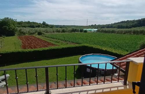 House Dolly - Foto 7