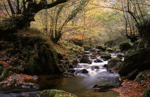 Apartamentos Rurales "La Torre" y "El Pielago" - Foto 46