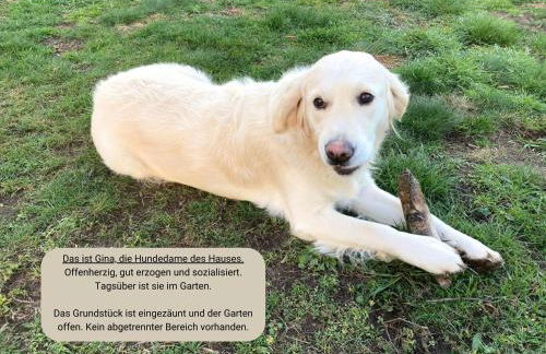 Ferienwohnung Landlust - ideal für Hundefreunde und Monteure, free WLAN & Parken, Smart-TV - Foto 14