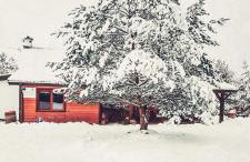 Farmstay Marianówka u Tesi - Foto 9