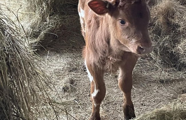 The Canteen Beautiful 1-bed Apartment in Keswick - Foto 2