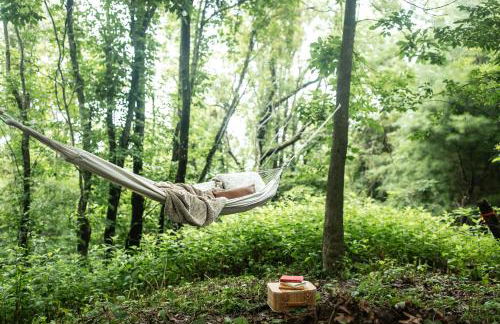 The Cypress Villa where luxury & nature meet - Foto 12