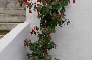 Cantinho para descansar à 200mts da praia. - Foto 46
