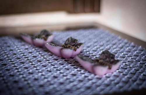 Casa Vacanza il Mandorlo - Foto 27