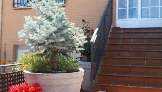 Apartment Montesol-Ferienwohnung by Interhome - Foto 5