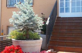 Apartment Montesol-Ferienwohnung by Interhome - Foto 5