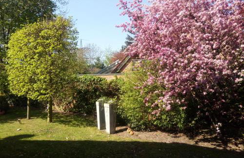 Apartment am Vechtesee - Foto 28