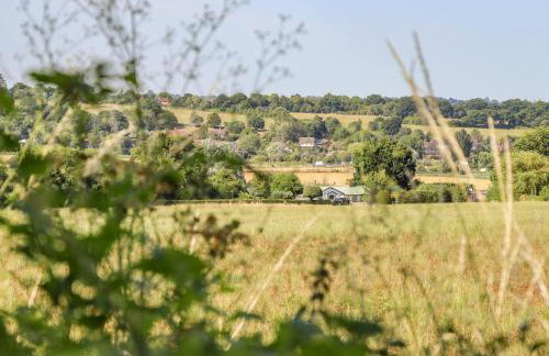 The Orchard - Photo 77