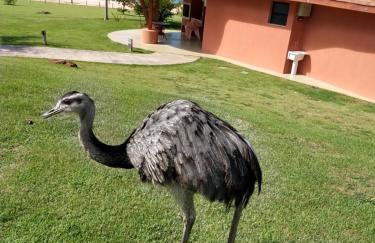 Malai Manso Cotista - Resort Acomodações 4 hosp - Foto 12