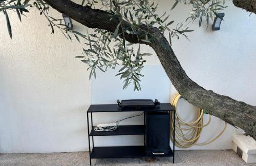 Vue lac et terrasse superbe Appartement cosy 4 pers - Foto 8