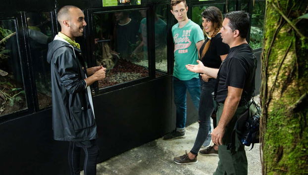 Rainforest Atlantic Adventure Park Visit - Foto 4