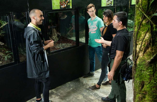 Rainforest Atlantic Adventure Park Visit - Foto 4