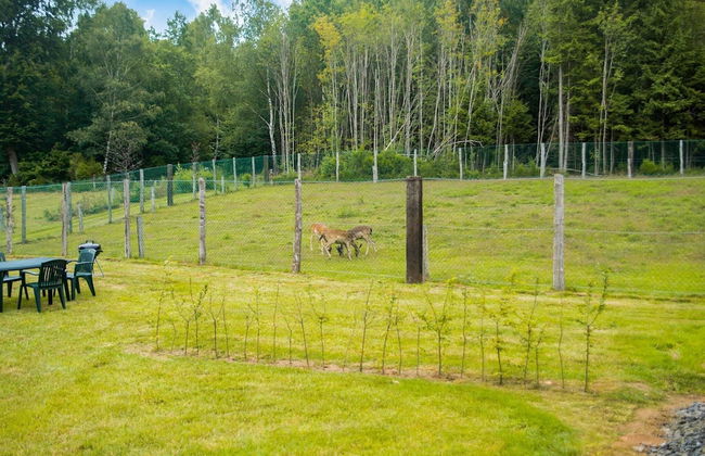 Secluded Chalet in Rogery - Photo 11