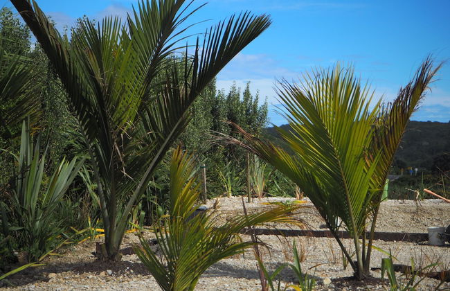 Out the Bay - Photo 17