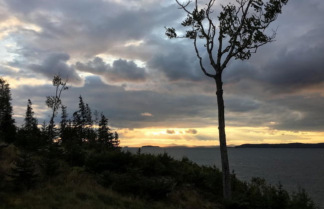 Ledgelawn - NEW 2023! - Foto 30