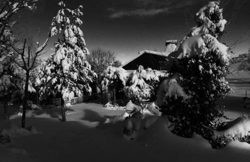 Alojamientos Turisticos La Utrera - Foto 18