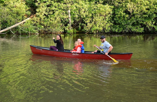 Unforgettable Dreams - Foto 21