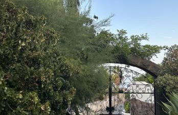 Schicciolina - Foto 24