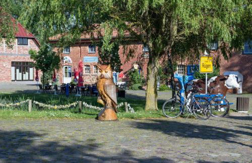 Fewo-Hiddenseeblick - Photo 40