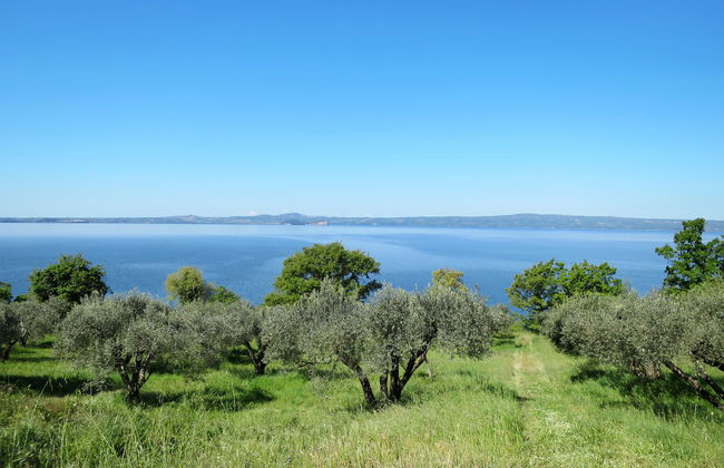 Podere Sant' Antonio - Foto 12