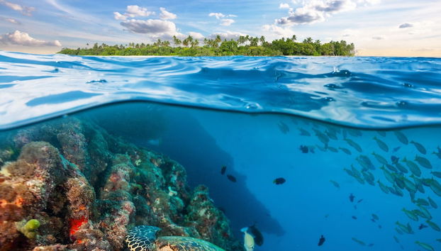 Wailea Ekahi 32B - Foto 5, Miscelánea