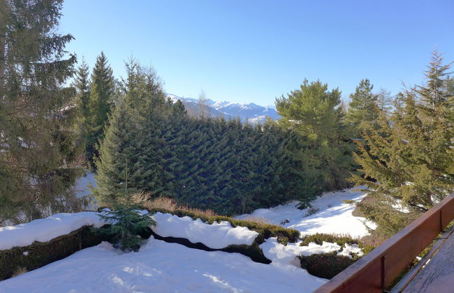 Soldanella 2 - Foto 40