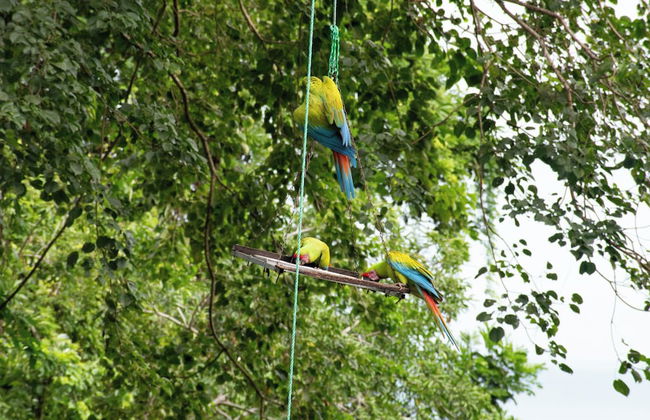 Villa Paraíso - Foto 37