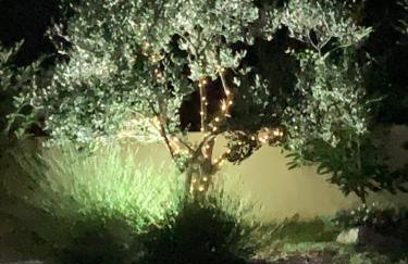 Villa Calma, recharge your body and mind - Foto 12