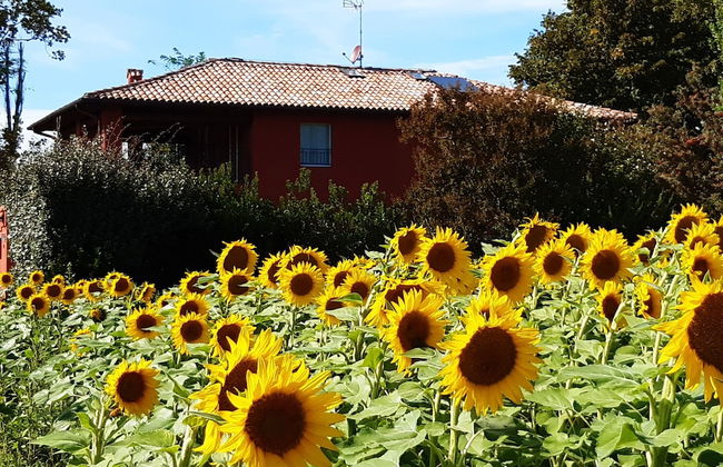 B&B Santa Maria di Lorgana - Foto 20