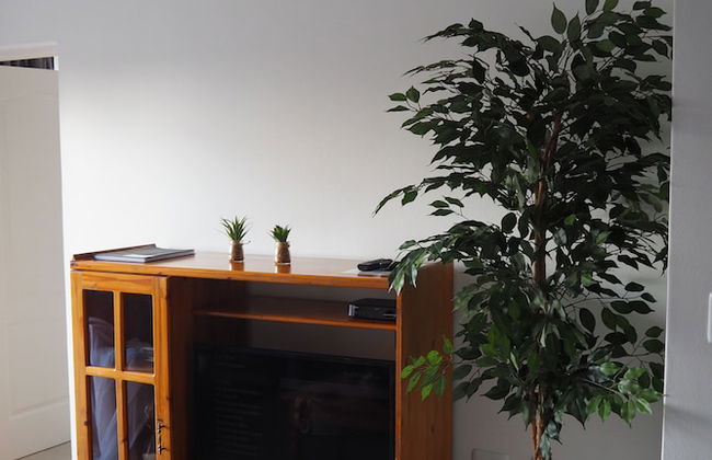 African Eagle Apartments - Photo 55