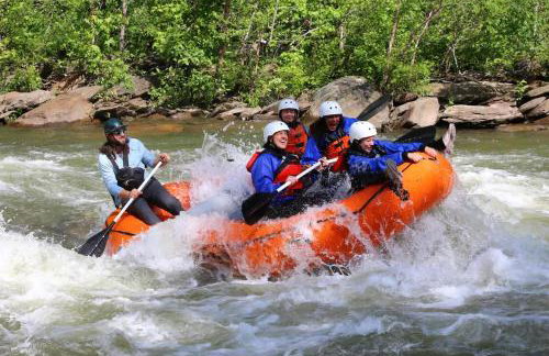Cherokee Ridge Cabin Near The Ocoee River - Foto 44