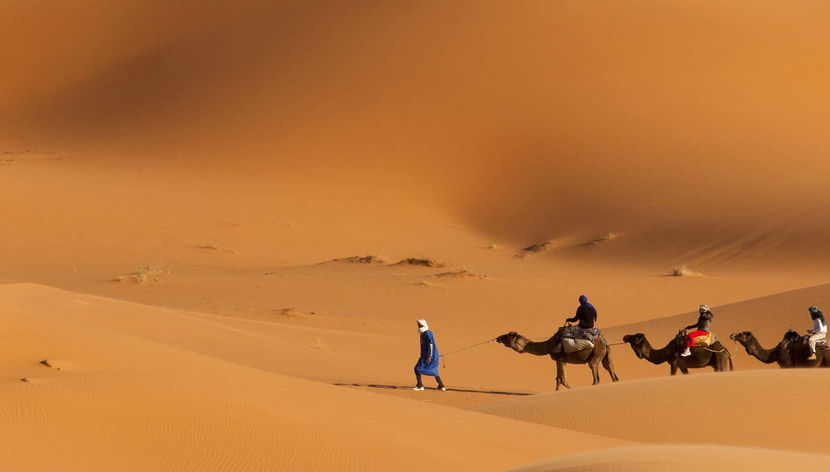 Paseo en camello por el desierto con cena y espectáculo