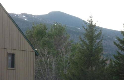 Cozy Ski Condo - Foto 12