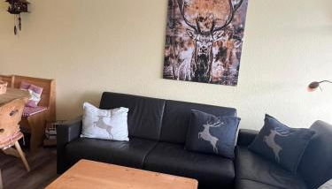 Apartment Schwarzwald-Anni Pool Tennis Sauna - Foto 5