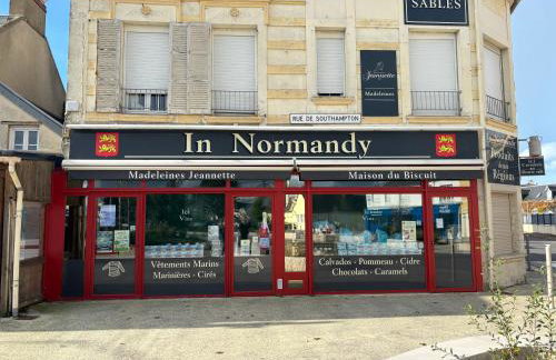 Les Voiles, maison bien équipée 10 p 2 sdb, 2 WC, spacieuse lumineuse avec jardin clos, garage, terrasse, parking privatif, à 950 m de la plage d'Asnelles et tous commerces, près de Bayeux et Arromanches, chiens bienvenus - Foto 49