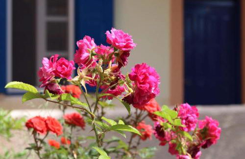 Panorama Apartments - Foto 22