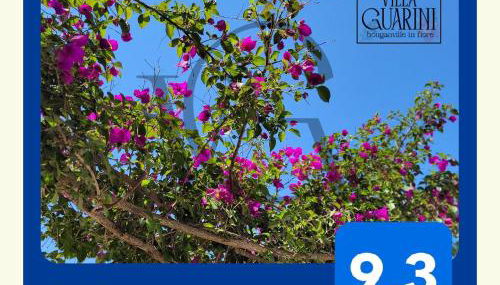 Nel cuore del Salento - Foto 4