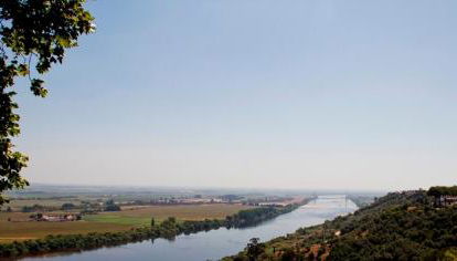 Ribatejo Villa - Foto 2