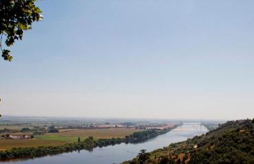 Ribatejo Villa - Foto 2