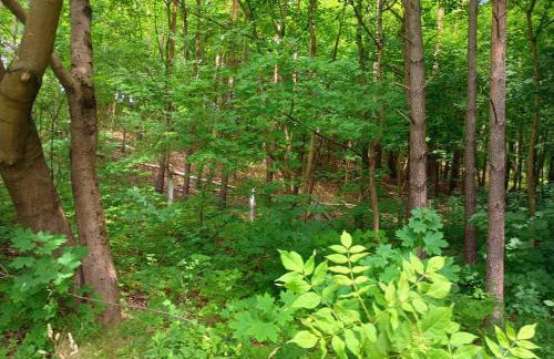 Klimatyczne Siedlisko - Foto 7