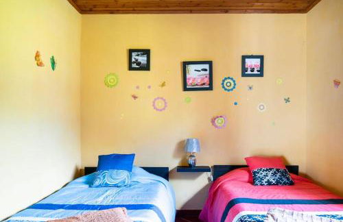 Country House in Azores - S. Miguel - Photo 15