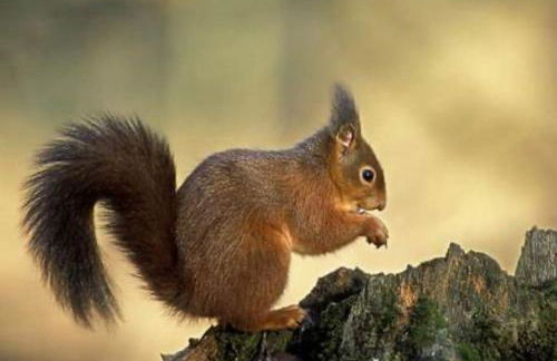 La Casa del Pan de Archivel - Foto 59