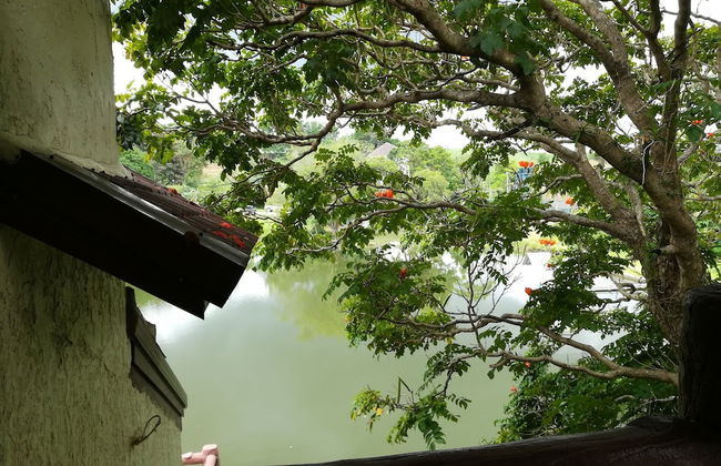 Green Hills Home - Photo 32