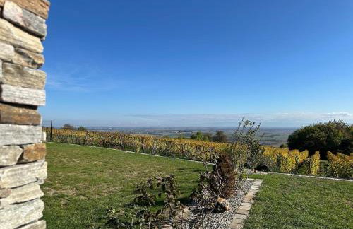 L'écrin d'Anne et Stéphane - vue sur Strasbourg - Foto 1