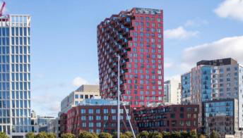 Thrive Nest - Foto 3