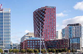 Thrive Nest - Foto 3